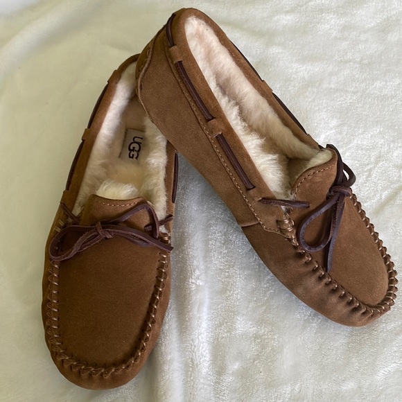 UGG Shoes - Brand New Dakota UGGs